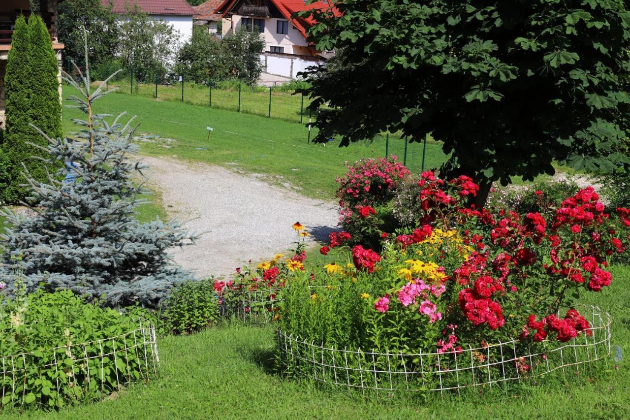 Pensiunea Dealul Frumos Bran  Extérieur photo