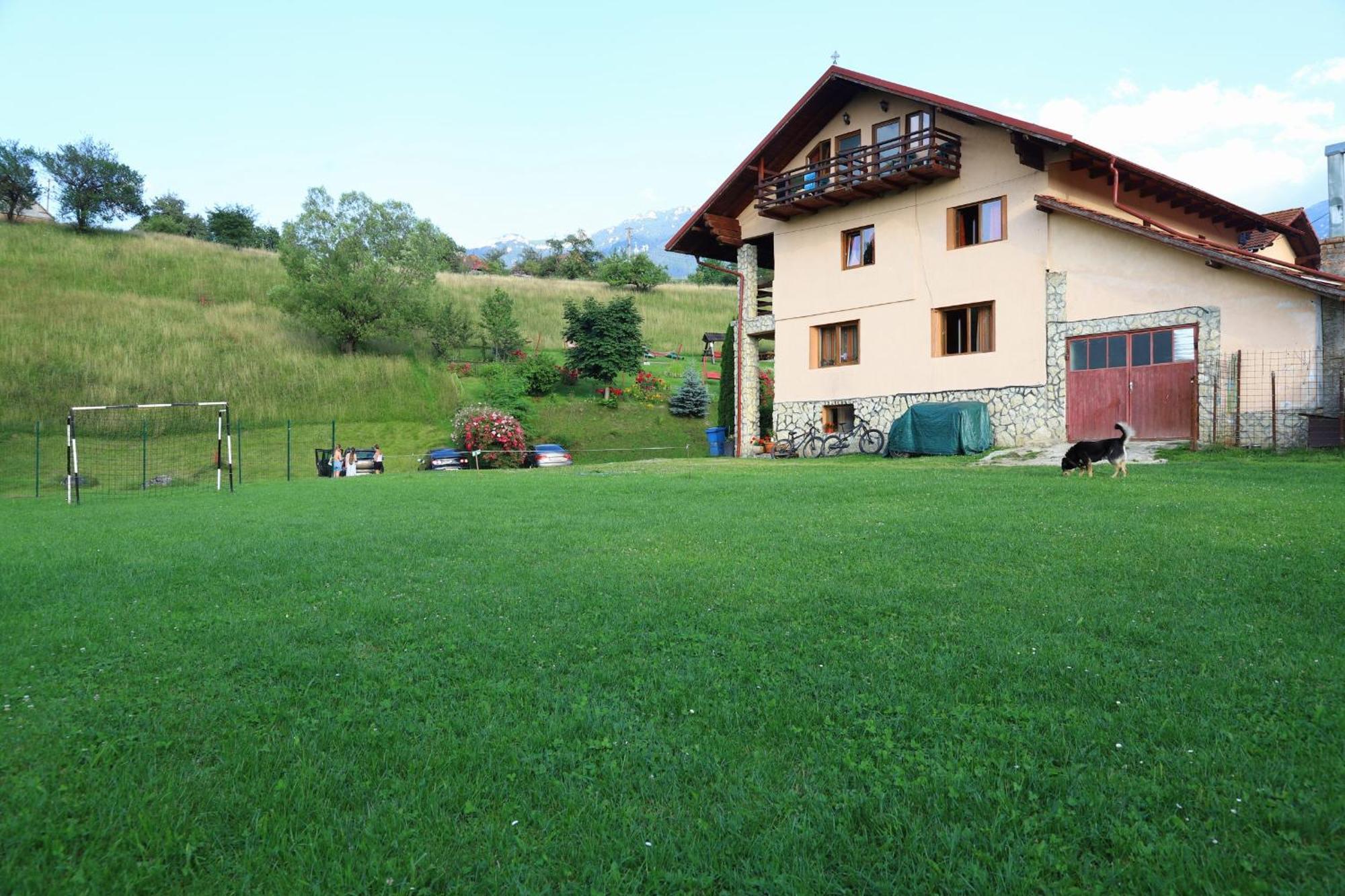 Pensiunea Dealul Frumos Bran  Extérieur photo
