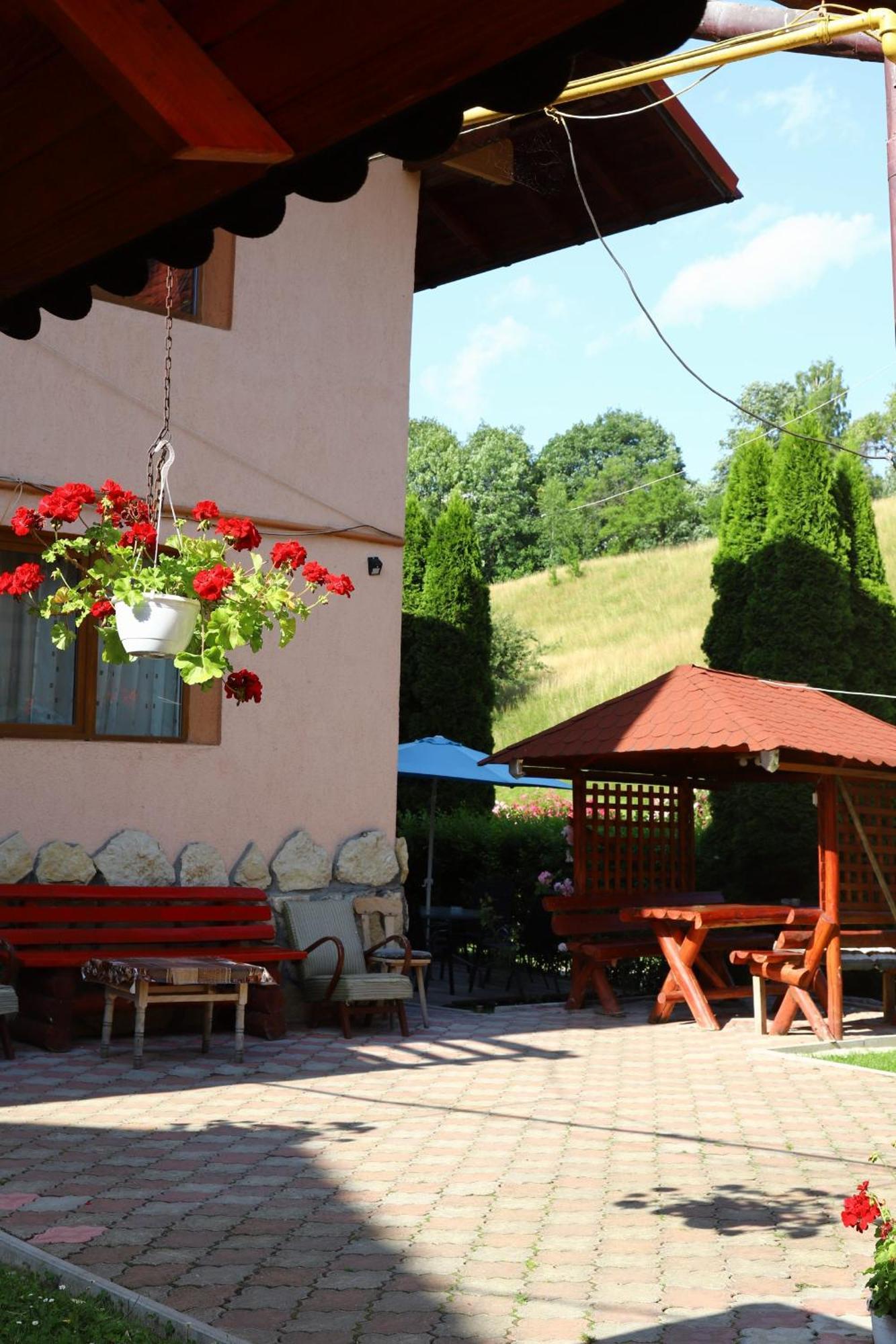 Pensiunea Dealul Frumos Bran  Extérieur photo