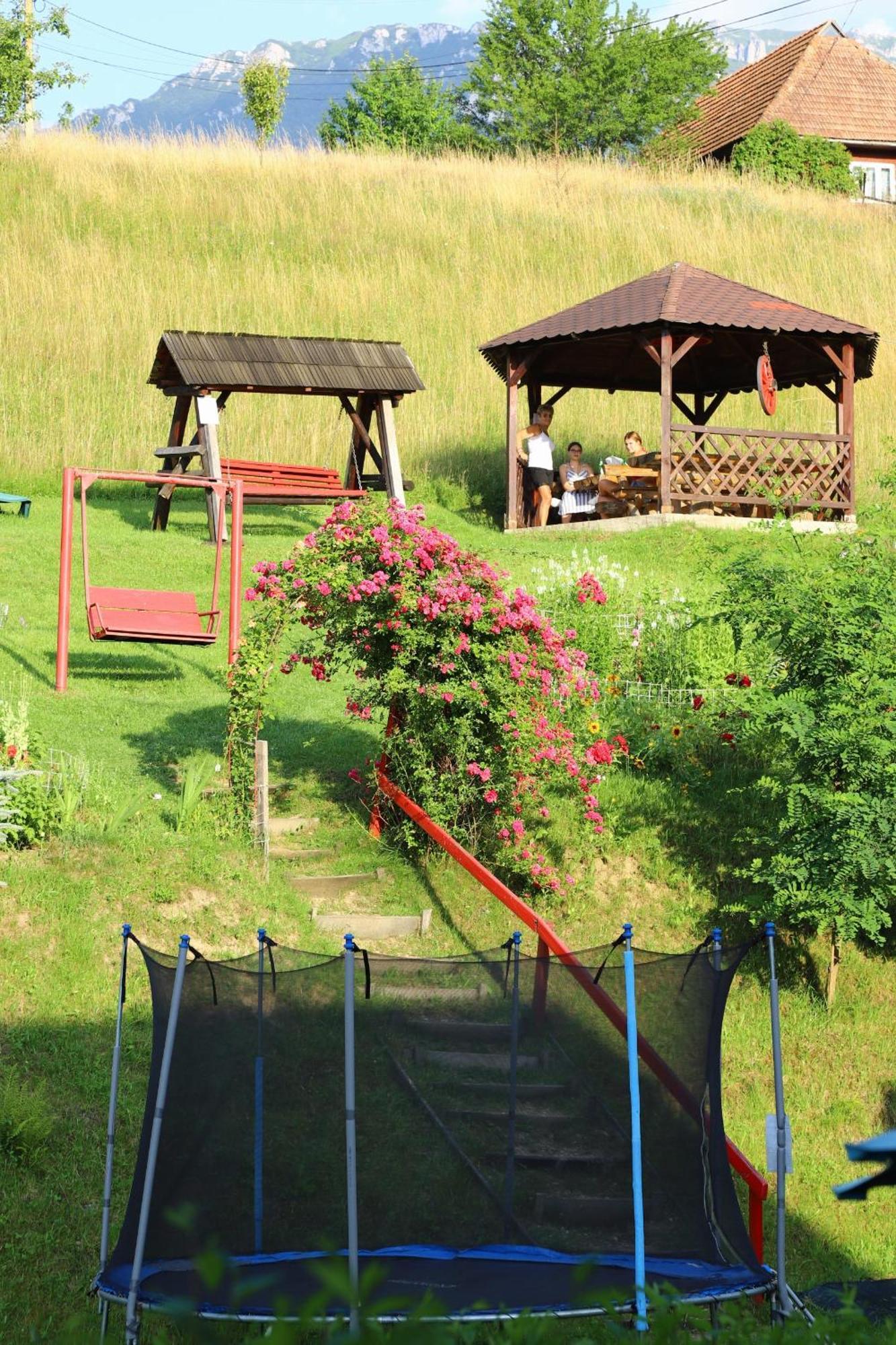 Pensiunea Dealul Frumos Bran  Extérieur photo